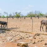 Finca Son Baulo