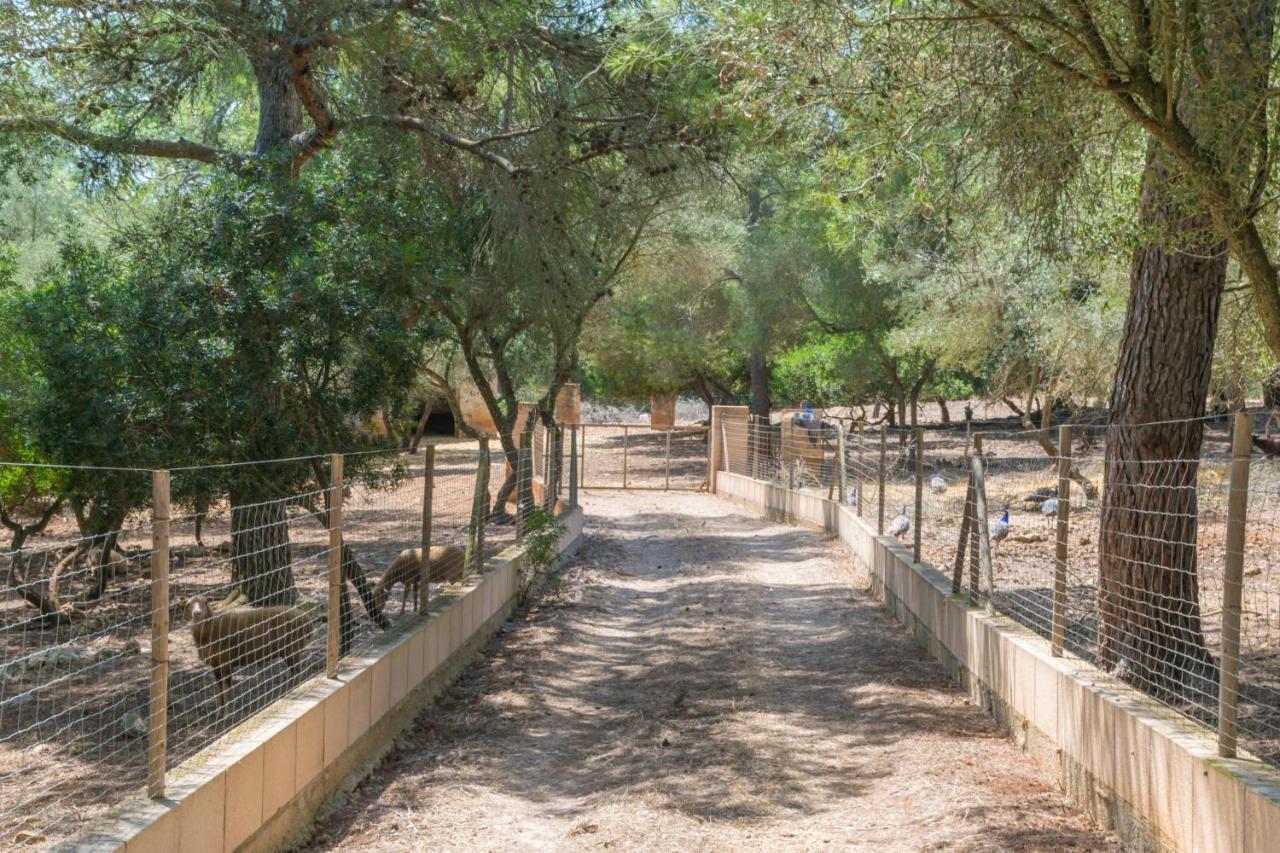 Hébergement de vacances Finca Son Baulo